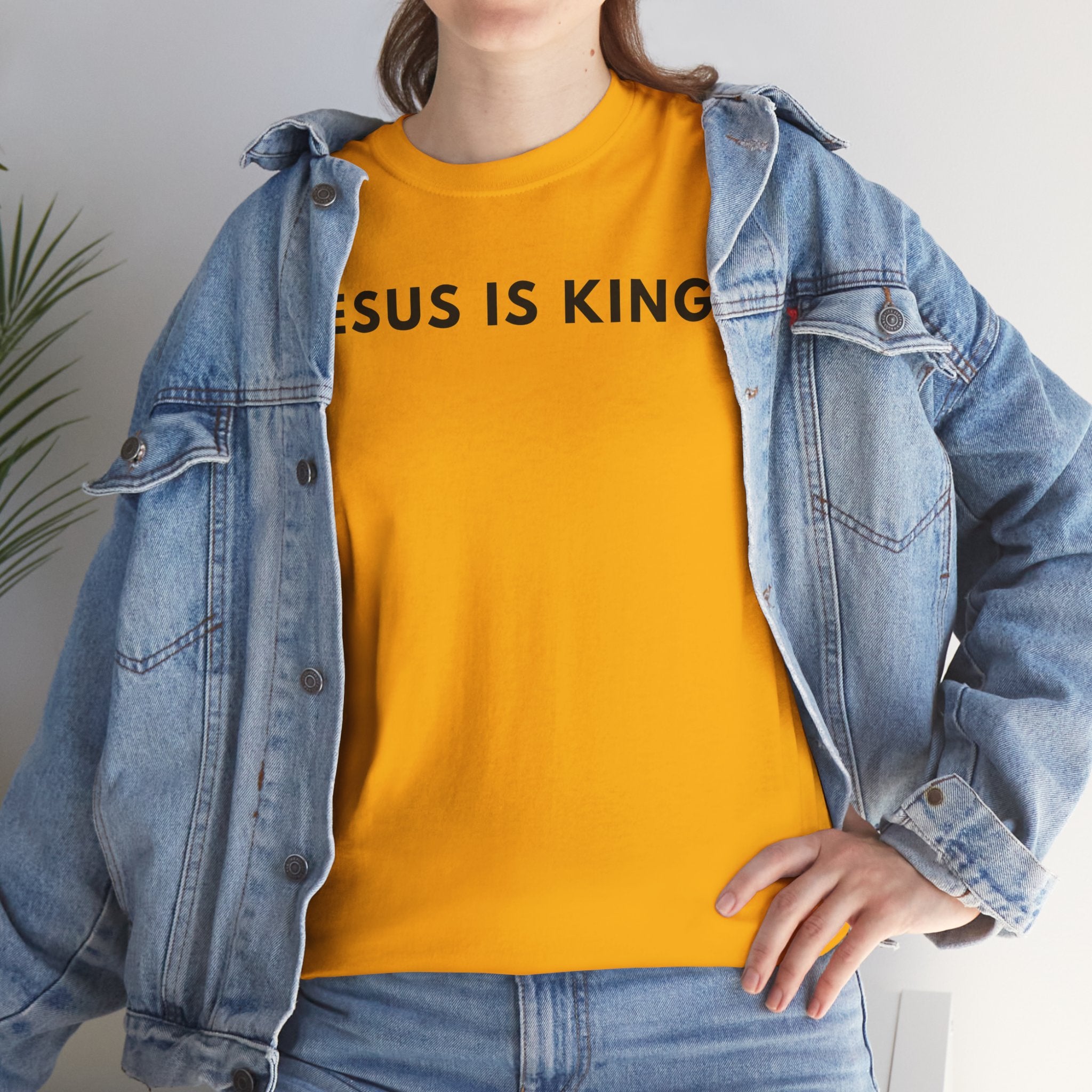 Jesus Is King Tee - Christian Faith White Cotton T-Shirt